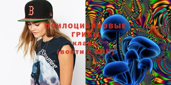 мескалин Надым